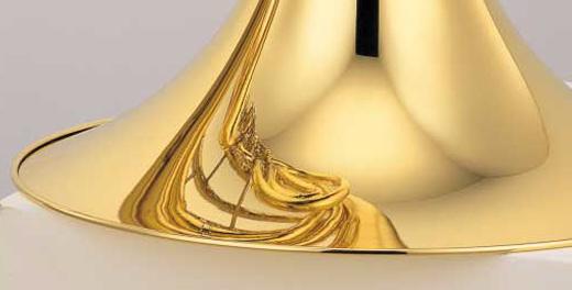 French Horn Close Up